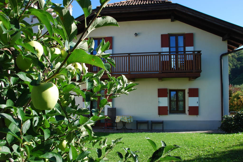 Apartments Schloss Paschbach أبيانو سولاّ ستراذا الغرفة الصورة