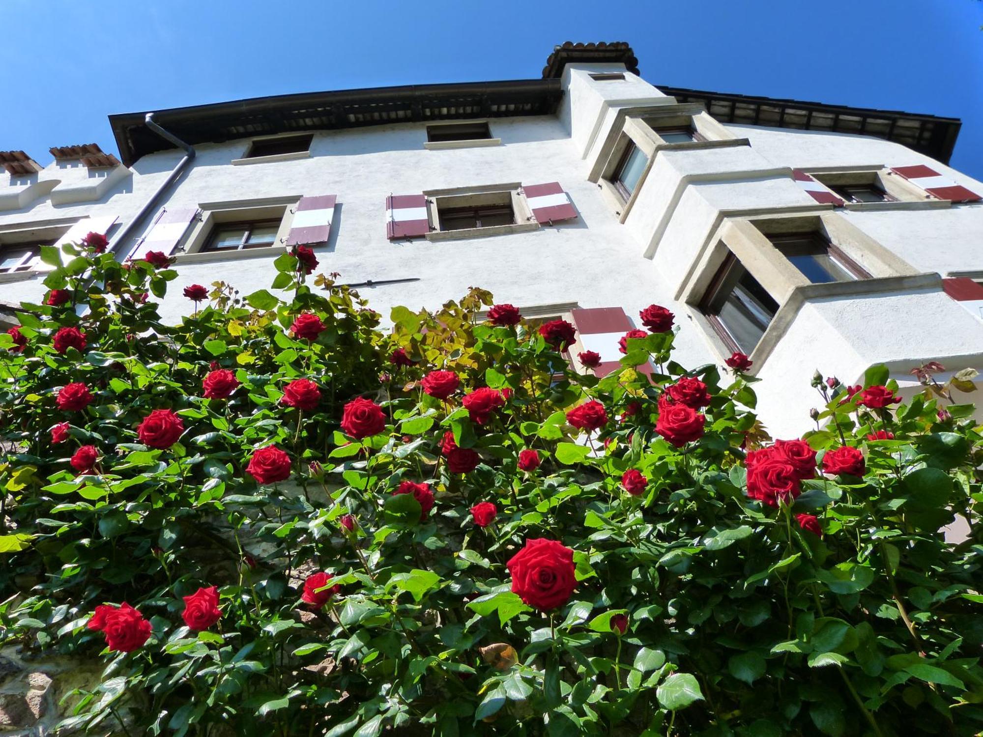 Apartments Schloss Paschbach أبيانو سولاّ ستراذا المظهر الخارجي الصورة