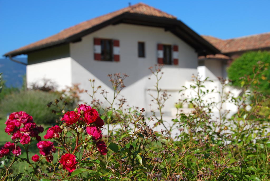 Apartments Schloss Paschbach أبيانو سولاّ ستراذا الغرفة الصورة