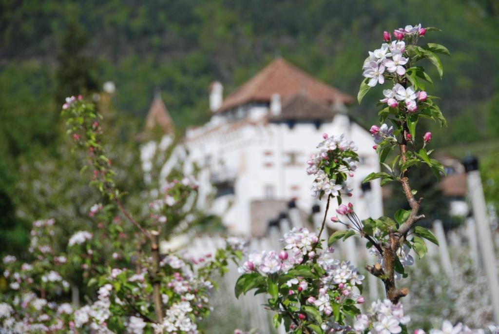 Apartments Schloss Paschbach أبيانو سولاّ ستراذا المظهر الخارجي الصورة
